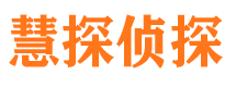 平阳市侦探调查公司